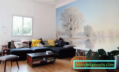 50 de decor în camera de zi - fotografie perfectă