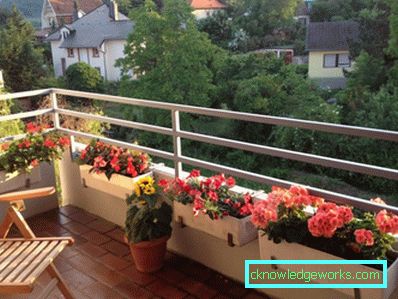 Flori pe balcon - cum sa le faci
