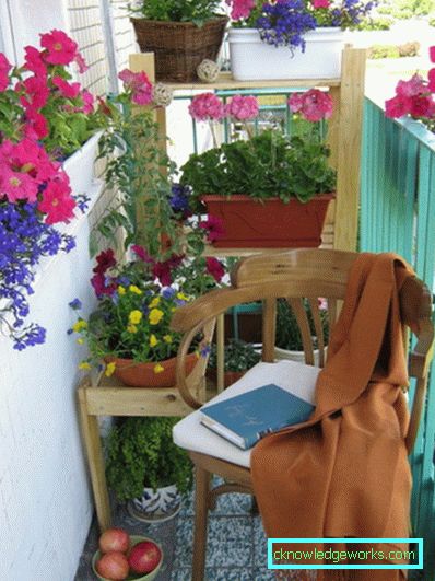 Flori pe balcon - cum sa le faci