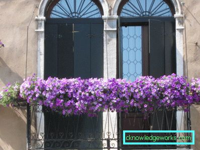 Flori pe balcon - cum sa le faci