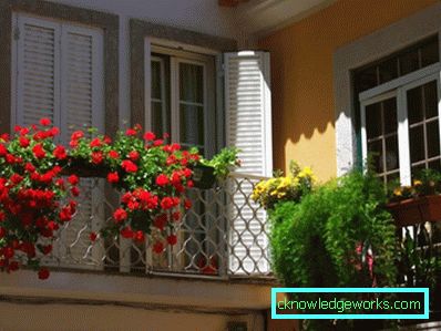 Flori pe balcon - cum sa le faci