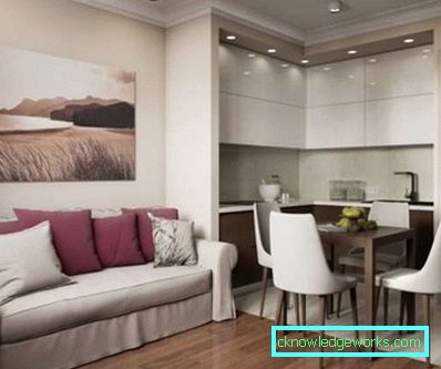 Design de bucatarie living de 14 mp - fotografii de interior