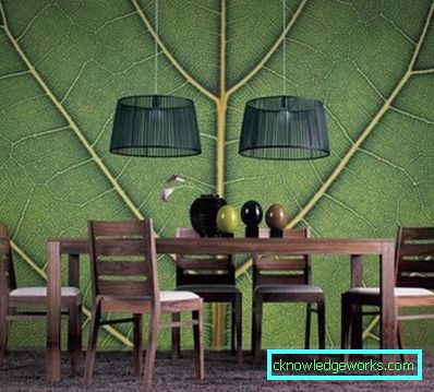 Design de perete de bucătărie - 50 de fotografii de idei de interior