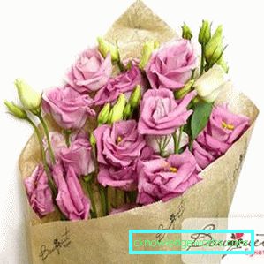 316-Eustoma perenă
