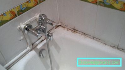 Cum sa scapi de mucegai si mucegai in baie acasa Cum sa scapi de mucegai si mucegai in baie acasa