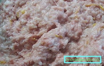 176-Casserole de carne în cuptor și