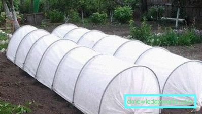 Sere din arce cu material de acoperire: descriere și utilizare Sere din arce cu material de acoperire: descriere și utilizare