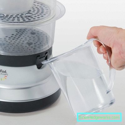 Steamer Tefal și toate modelele sale Steamer Tefal și toate modelele sale