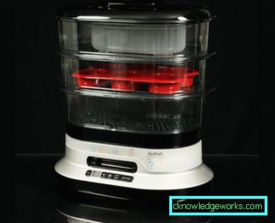 Steamer Tefal și toate modelele sale Steamer Tefal și toate modelele sale