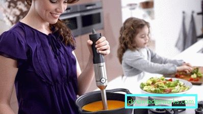 Blender submersibil Blender submersibil