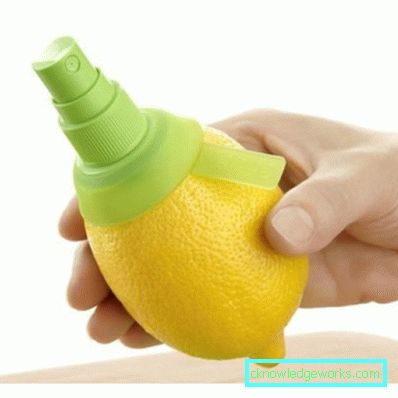 Manual juicer citrice Manual juicer citrice