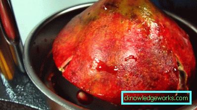 Manual Citrus Juicer Manual Citrus Juicer