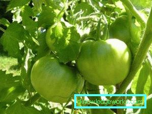 33 - Cel mai delicios și fructuos verde