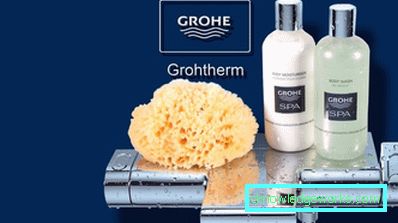 Mixere Grohe: argumente pro și contra, sfaturi privind alegerea unui model Mixere Grohe: argumente pro și contra, sfaturi privind alegerea unui model