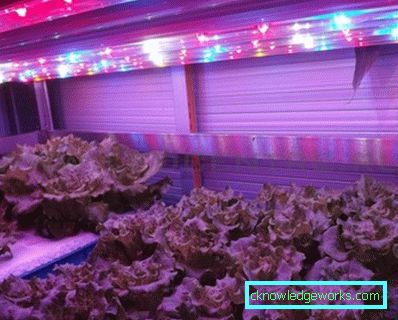 Lumini de plante cu 90 de LED-uri