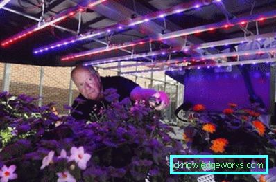 Lumini de plante cu 90 de LED-uri