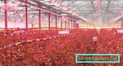 Lumini de plante cu 90 de LED-uri