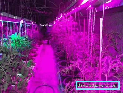 Lumini de plante cu 90 de LED-uri