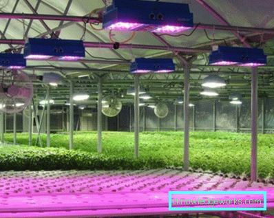 Lumini de plante cu 90 de LED-uri