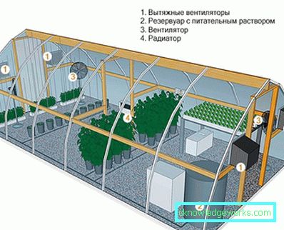 Sere: tipuri, dispozitive și echipamente Sere: tipuri, dispozitive și echipamente