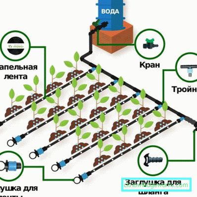 Sere: tipuri, dispozitive și echipamente Sere: tipuri, dispozitive și echipamente