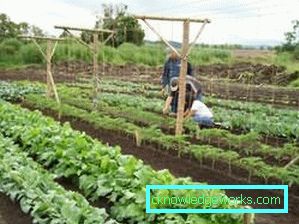 136-paturi inteligente în țară prin intermediul lor