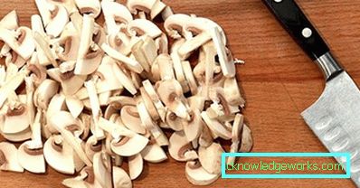 251-ravioli caserola în cuptor