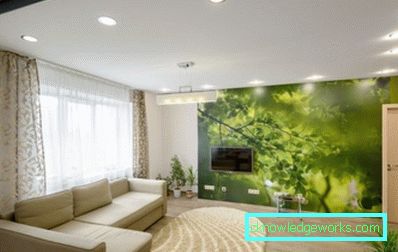 54-cameră de zi verde - foto elegant
