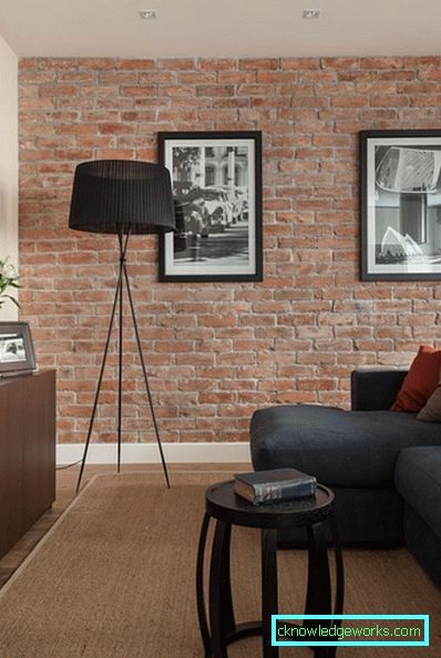 Zona de cameră - 115 de fotografii ale ideilor de design și opțiunile de zonare în camera de zi