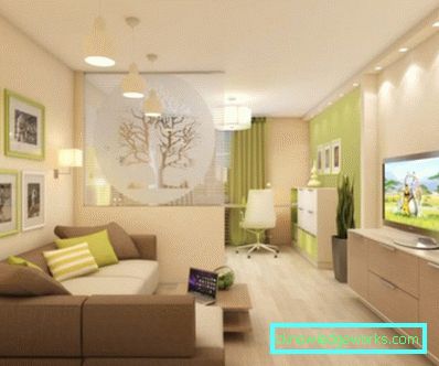 Zona de cameră - 115 de fotografii ale ideilor de design și opțiunile de zonare în camera de zi