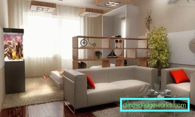 Zona de cameră - 115 de fotografii ale ideilor de design și opțiunile de zonare în camera de zi